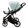 Коляска 2 в 1 Adamex Belissa TIP PS-25