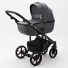 Коляска 2 в 1 Adamex Bibione PS-58 Tip графіт