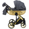 Коляска 2 в 1 Adamex Chantal Star Polar (Gold) Star 1
