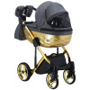 Коляска 2 в 1 Adamex Chantal Star Polar (Gold) Star 1