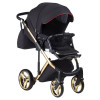 Коляска 2 в 1 Adamex Chantal Polar C3-A Gold