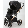 Коляска 2 в 1 Adamex Cortina CT-400