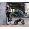 Коляска 2 в 1 Adamex Gallo GA-6 Amazon Green