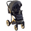 Коляска 2 в 1 Adamex Luciano Polar Gold Q89