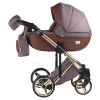 Коляска 2 в 1 Adamex Luciano Y801A Polar Gold