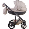 Коляска 2 в 1 Adamex Monte Carbon Deluxe 55S-SZ еко шкіра 100% (Адамекс Монте 55S-SZ)
