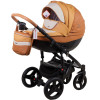 Коляска 2 в 1 Adamex Monte Carbon Deluxe D104 еко шкіра 100% (Адамекс Монте Д104)