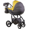 Коляска 2 в 1 Adamex Monte Carbon Deluxe D108 эко кожа 100% (Адамекс Монте Д108)