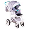 Коляска 2 в 1 Adamex Monte Carbon Deluxe D30 (Адамекс Монте Д30)