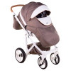 Коляска 2 в 1 Adamex Monte Carbon Deluxe D34 (Адамекс Монте Д34)