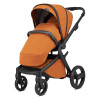 Чохол для ніг Anex L/Type Ginger (LF/AC-08)