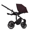 Anex m/type - дитяча коляска 2в1 • Grape (Sp28-Q)
