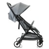 Прогулянкова коляска Babyhit Colibri Ash Grey
