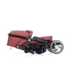 Коляска 2 в 1 Babyhit Winger Red