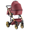 Коляска 2 в 1 Bair Leo Rino Gold Collection ZR-70
