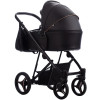 Коляска 2 в 1 Bebetto Flavio Pro 06 черный
