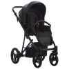 Коляска 2 в 1 Bebetto Flavio Pro 06 черный