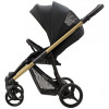 Прогулочная коляска Bebetto Rainbow Gold 01