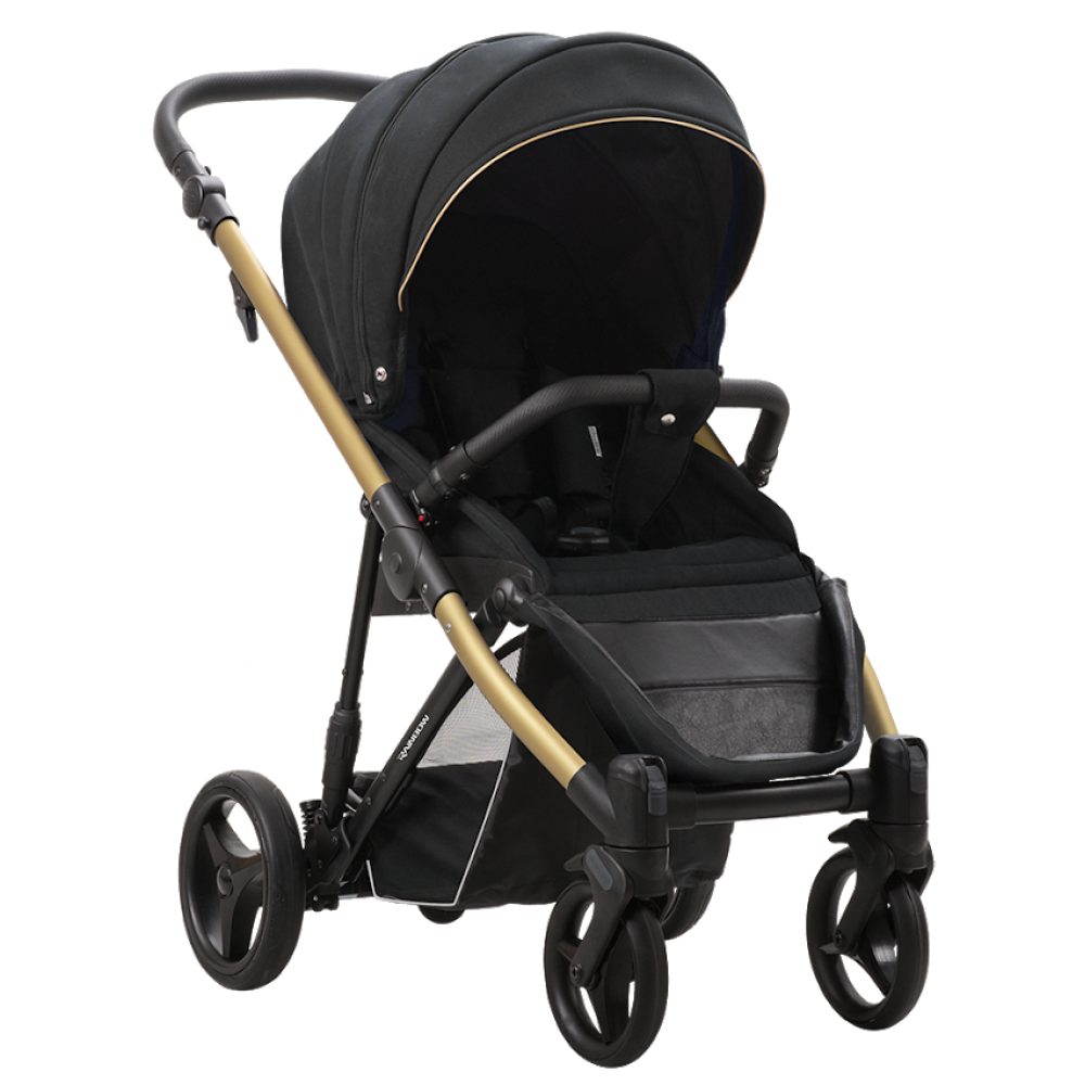 Прогулочная коляска Bebetto Rainbow Gold 01