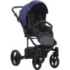 Коляска 2 в 1 Bebetto Torino Tex 121 синий-индиго, черная рама