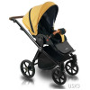 Коляска 2 в 1 Bexa Ultra Style X USX 3