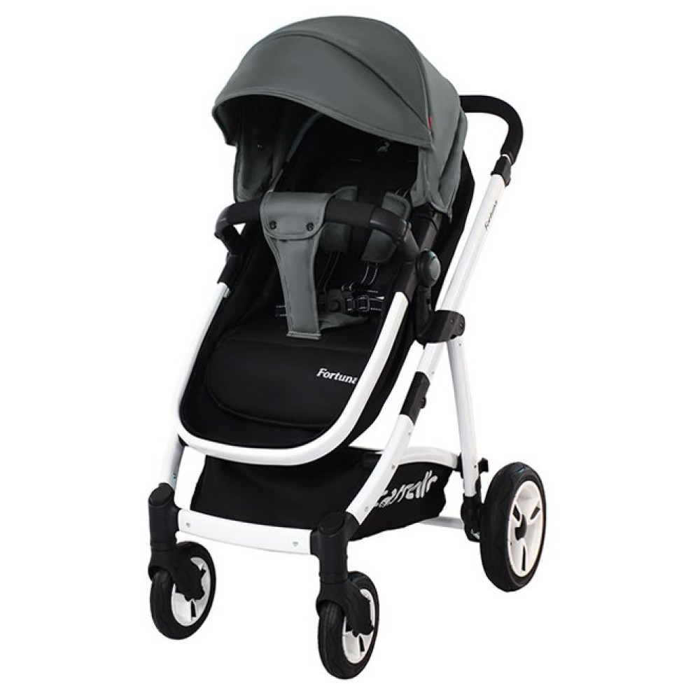 Коляска 2 в 1 Carrello Fortuna Shade Grey (Карелло Фортуна)