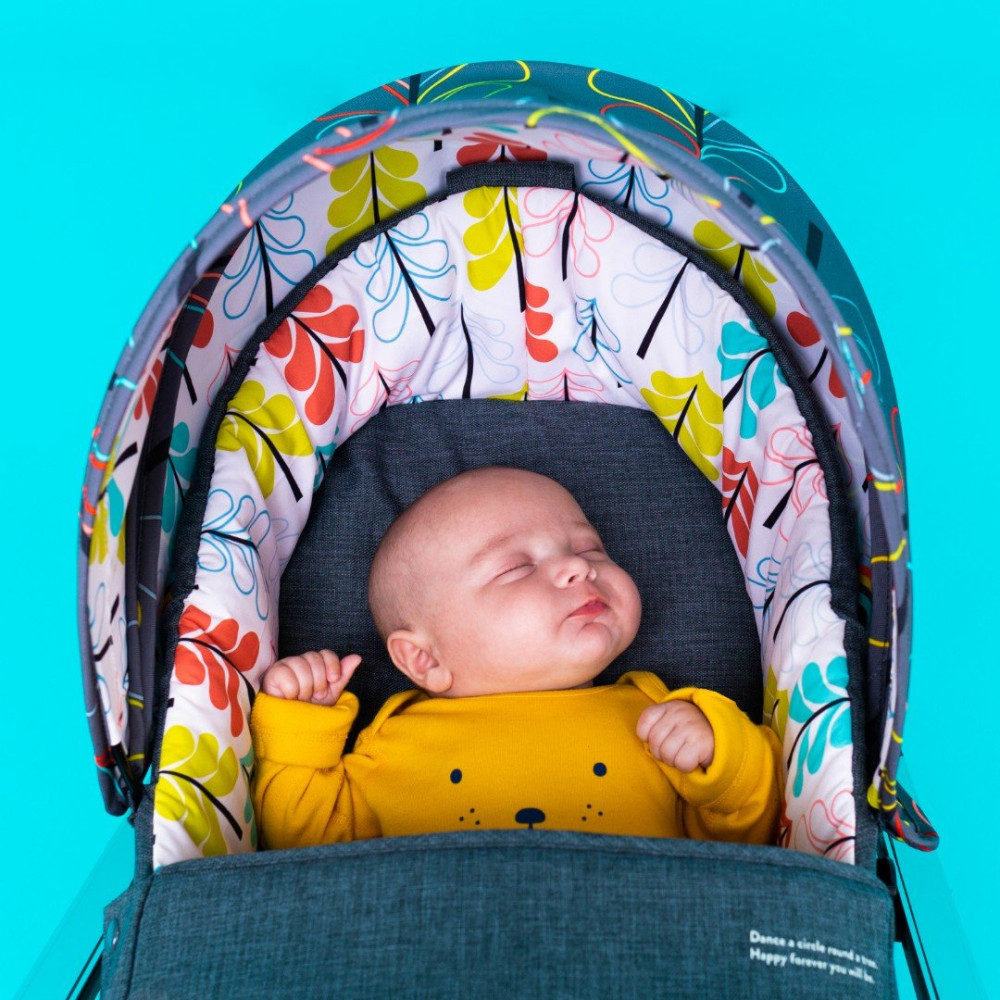 Прогулочная коляска Cosatto Woosh XL Nordik