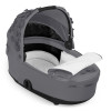 Коляска 2 в 1 Cybex Mios 4.0 Simply Flowers Dream Grey