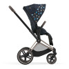 Коляска 2 в 1 Cybex Priam 4.0 Jewels of Nature