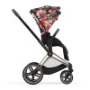 Коляска 2 в 1 Cybex Priam 4.0 Spring Blossom Dark