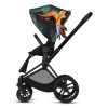 Прогулочная коляска Cybex Priam 3.0 Birds of Paradise