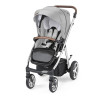 Коляска 2 в 1 Espiro Next Avenue Frozen grey