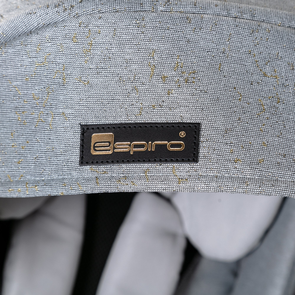 Коляска 2 в 1 Espiro Next Limited 403 Gold shadow