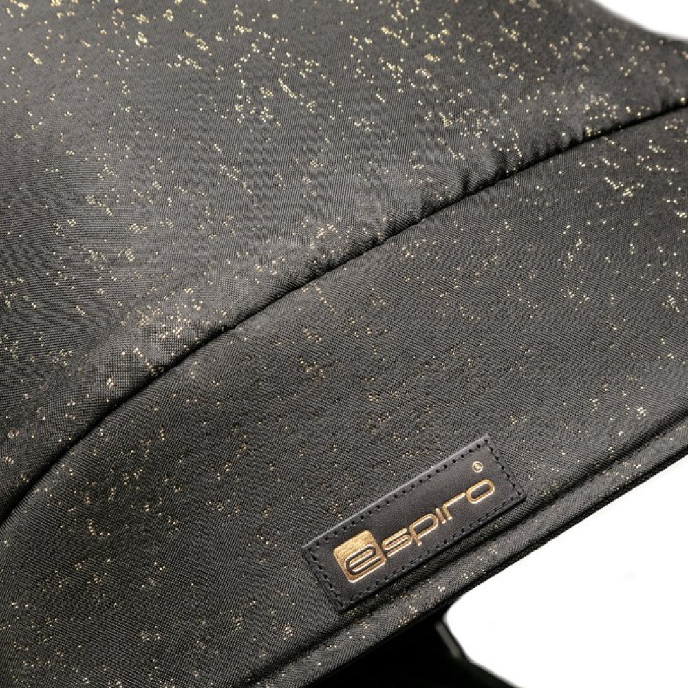 Коляска 2 в 1 Espiro Next Limited 400 Gold rush