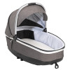 Коляска 2 в 1 Espiro Next Multicolor Beige wind
