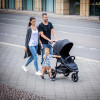 Прогулочная коляска Hauck Rapid 3R Black (14854-9)