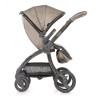 Прогулочная коляска Egg Titanium