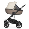 Коляска 2 в 1 Riko Basic Ozon Ecco 25
