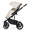 Коляска 2 в 1 Riko Basic Ozon Ecco 25