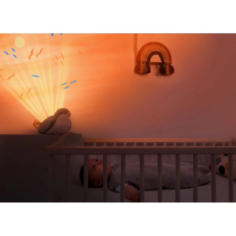 Ночник Zazu Птичка Шелли с подвижной проекцией и мелодиями (ZA-SHALLY-01) Ночник Zazu Птичка Шелли с подвижной проекцией и мелодиями (ZA-SHALLY-01)
