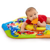 Развивающий коврик Baby Einstein Rhythm of the Reef (90649)
