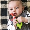 Погремушка Baby Einstein Bold Rattle&Teether (11416)