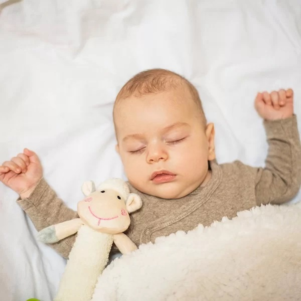 Игрушка с прорезывателем с пищалкой BabyOno Веселая Овечка (606) Игрушка с прорезывателем с пищалкой BabyOno Веселая Овечка (606)