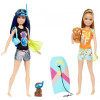 Игровой набор Barbie Сестричка Барби с питомцем (FBD68)