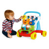 Игрушка-ходунки Chicco Baby Gardener (09793.00)