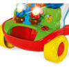 Игрушка-ходунки Chicco Baby Gardener (09793.00)