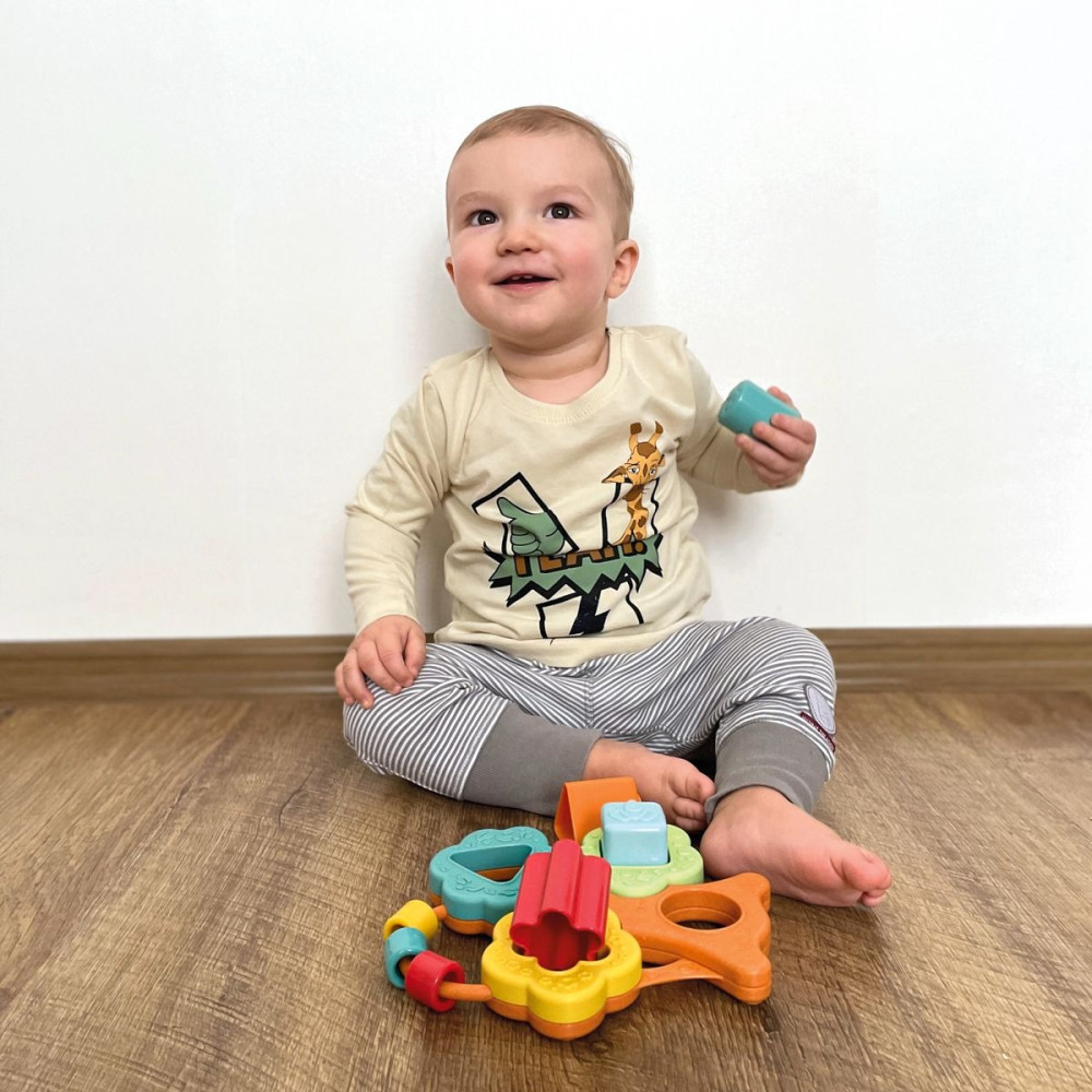 Игрушка Chicco Eco Баобаб - первый сортер (10493.00)