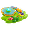 Игрушка музыкальная Chicco Sensory Flower (10156.00)