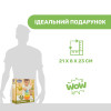 Игрушка-пирамидка Chicco Eco Балансирующие камешки (10492.00)