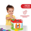 Іграшка-сортер Chicco Зоодомік (09610.00)